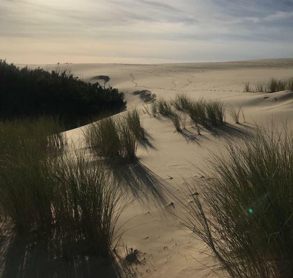 Maison à deux pas de l'océan Villa Biscarrosse-Plage Esterno foto